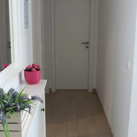 Albatros Apartamento